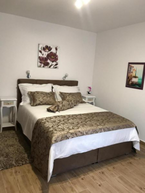 Apartment center Roko